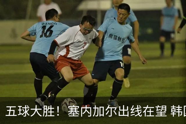 五球大胜！塞内加尔出线在望 韩国晋级仅剩理论希望