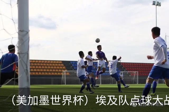 （美加墨世界杯）埃及队点球大战胜澳大利亚队 亚足联队伍全部出局